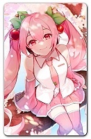    -   No.6