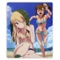    Sakurasou no Pet na Kanojo 350516