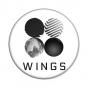 ������ BTS Wings Logo