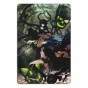    Black Rock Shooter 308467