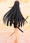 Senran Kagura Shoujotachi no Shinei - Ikaruga Damage ver.