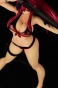  Fairy Tail - Erza Scarlet Swimwear Gravure Style Ver. Fire 1/6
