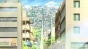    / Idol Jihen [DVD]