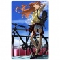 ������ ������������� Neon Genesis Evangelion - ���� ������ �����