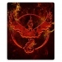     Pokemon Go Team Valor Logo