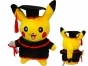   Pokemon 339725