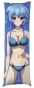   Infinite Stratos Tatenashi Sarashiki  