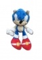  Sonic 61383