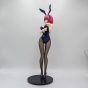 ������� Food Wars Shokugeki no Soma Hisako Arato bunny girl (�����)