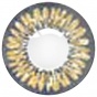      "Neo Vision Cosmo Two-Color" Honey 228