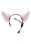 ���� Necomimi