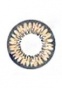     "Neo Vision Cosmo Two-Color" Brown 224
