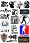   Counter-Strike / CS:GO