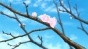 ����� ������� ��-2 / Amanchu! Advance [HD]
