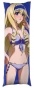  Infinite Stratos Cecilia Alcott  