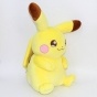  - Pokemon