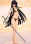 Senran Kagura Shoujotachi no Shinei - Ikaruga Damage ver.