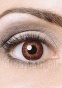     Cooper Vision Color Tones Brown