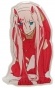   Darling in the Franxx -  2 2