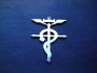  Fullmetal Alchemist 331174