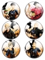 ������ Haikyuu!! No.1
