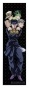 �������� JoJo no Kimyou na Bouken: Diamond wa Kudakenai