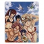    Fairy Tail 310059