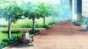    -1 / 3D Kanojo: Real Girl TV-1 [DVD]