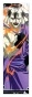 �������� Rurouni Kenshin 349914