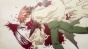Mahou Sensei Negima!: Mou Hitotsu no Sekai (  !)