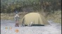 ����� �������� ������� / Yuru Camp [DVD]
