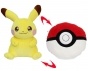  - Pokemon