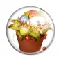 ������ Kekkai Sensen Sonic