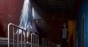   / Harmony [DVD]