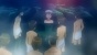 Shakugan no Shana Special OVA (  )