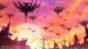 ׸���� ���� / Kuromukuro