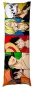   One Piece - Luffy, Zoro, Sanji, Ace, Law