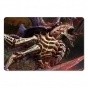 ������ ��������� ������������� Warhammer 321672