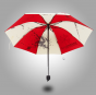  Resident Evil umbrella