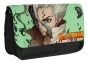 ���������� �������� Dr. Stone Senkuu Ishigami