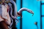 ������� SSR FIGURE Yi Ren Guan - House of Unhumans Liu Qi 1/7 Complete Figure