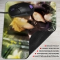    Final Fantasy 69973