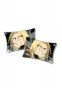  Fullmetal Alchemist 49411