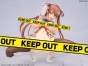 ������� Magical Anfusion! Airi Tsugaike Illustrated by momi 1/6 Complete Figure