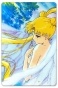    Bishoujo Senshi Sailor Moon 304830