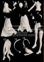 Sakura Matou Ataraxia Version FG3483