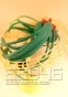 Hatsune Miku FG7616
