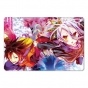 ������ ��������� ������������� No Game No Life 312880