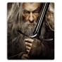    The Hobbit 310013