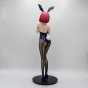 ������� Food Wars Shokugeki no Soma Hisako Arato bunny girl (�����)
